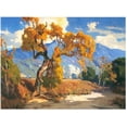 thumbnail image 1 of Cottonwoods-Wachtel - CANVAS OR FINE PRINT WALL ART, 1 of 1