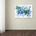 thumbnail image 3 of Trademark Fine Art "Splatters 1" Canvas Art by Hello Angel, 3 of 3