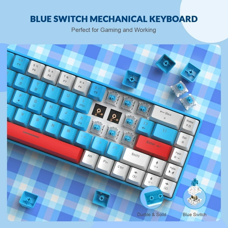 NAO-P　Blu-ray2点セット ZIYOU LANG RK-T8 Wired 65% Mechanical Gaming Keyboard with