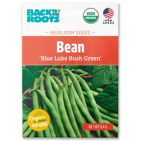 Back to the Roots Organic Blue Lake Bush Green Bean Garden Seeds, 1 Seed Packet