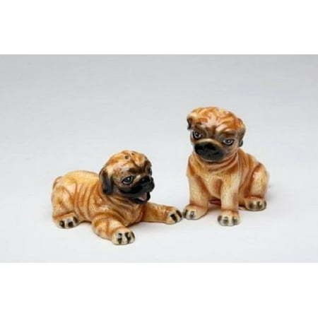 brown pug puppies dogs