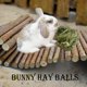 thumbnail image 2 of Pelota de hierba natural para masticar Kathson para pequeños animales, 2 of 7