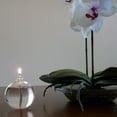 thumbnail image 3 of Firefly 2.75 oz Unscented Oil Candle Lamp, Clear Round Glass, Refillable, 2.6mm Wick, 3 of 7