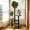 Multicolor, variant on Taicans Wood 2 Tier Plant Stand,Small Plant Shelf for Indoor Plants,Tabletop Window Plant Stand Flower Pot Holder,Plant Display Rack for Living Room Bedroom Windowsill,Space Saving Plant Stand