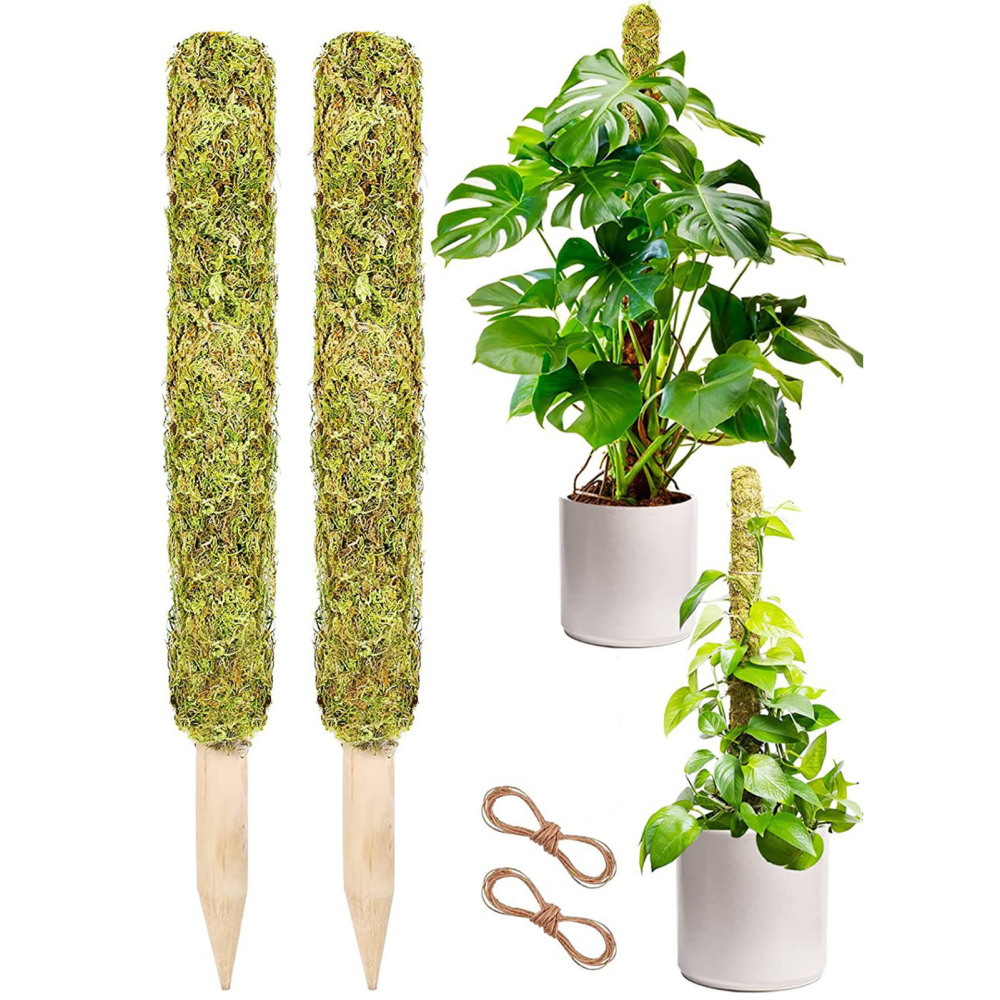 Jzenzero Moss Pole Plant Supporting Pole Plants Supporting Stand Moss