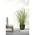 thumbnail image 3 of Ecopots Oslo Durable Modern Round Indoor/Outdoor Recycled Based Composite Flower Pot Planter, Grey, 10", 3 of 4