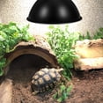 thumbnail image 1 of IFANLANDOR Pantalla De Para Terrarios De Hierro Para Reptiles Con Reflector Eficiente, 1 of 8