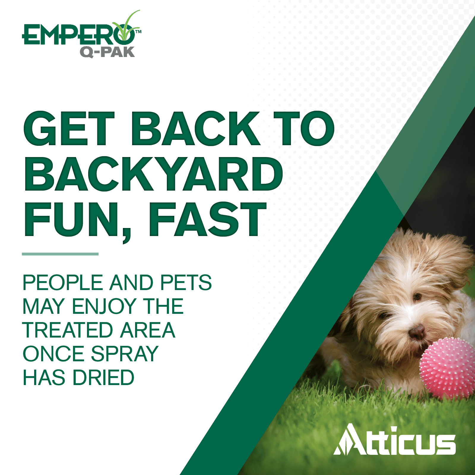 Empero Q-Pak Nutsedge Killer (Compare to SedgeHammer Plus) by Atticus - (2 Pack) Turf Herbicide - Halosulfuron-methyl