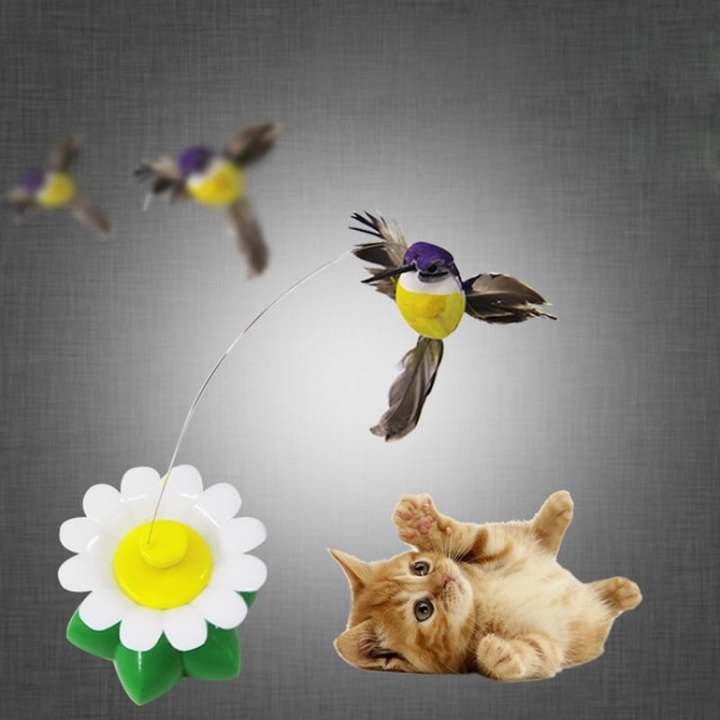 flying bird cat toy