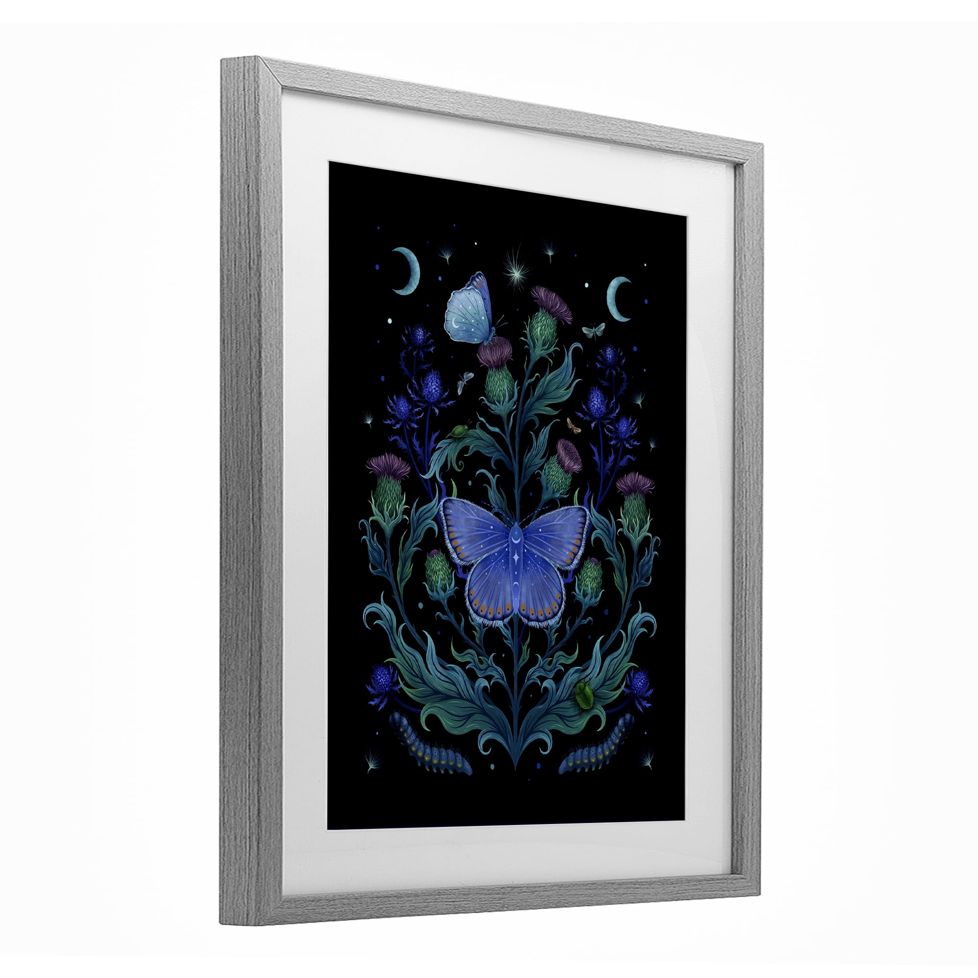Stupell Industries Thistles & Insects at Night Gray Framed Print Under Glass, design by Episodic Drawings