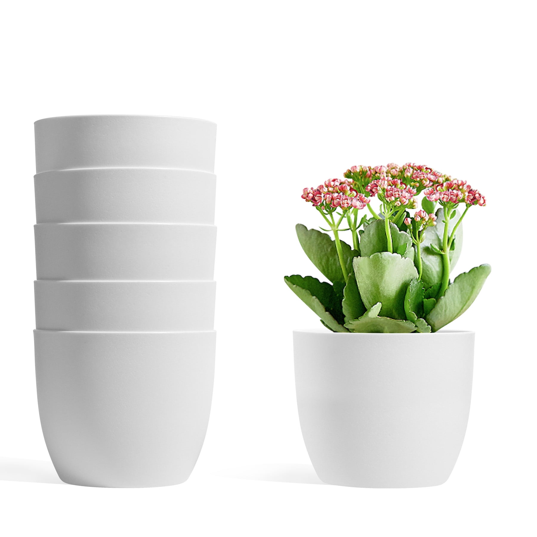 Herbs African Violets Matte White Aloe T4U 5.5 Inch Self Watering Plastic Planter with Water Level Indicator Pack of 6 Modern Decorative Planter Flower Pot for House Plants Succulents and More 