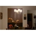 thumbnail image 2 of 52504BNB Kichler Lighting Ali - 4 Light Chandelier In Traditional Style-19.5 Inches Tall and 20 Inches Wide-Brushed Natural Brass Finish, 2 of 6