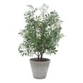 thumbnail image 1 of Pemberly Row Plante d'Olivier en Pot Réaliste avec Fruit dans un Cache-Pot Gris, 1 of 7