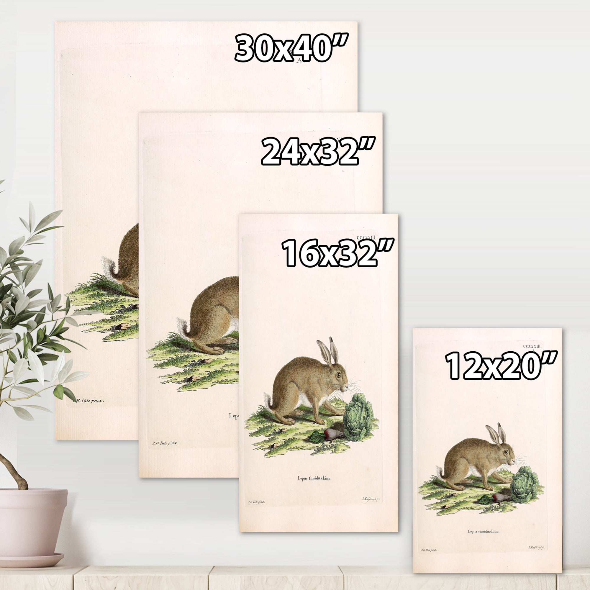 Ancient Rabbits In Earth Tones 12 in x 8 in Painting Canvas Art Print, by Designart