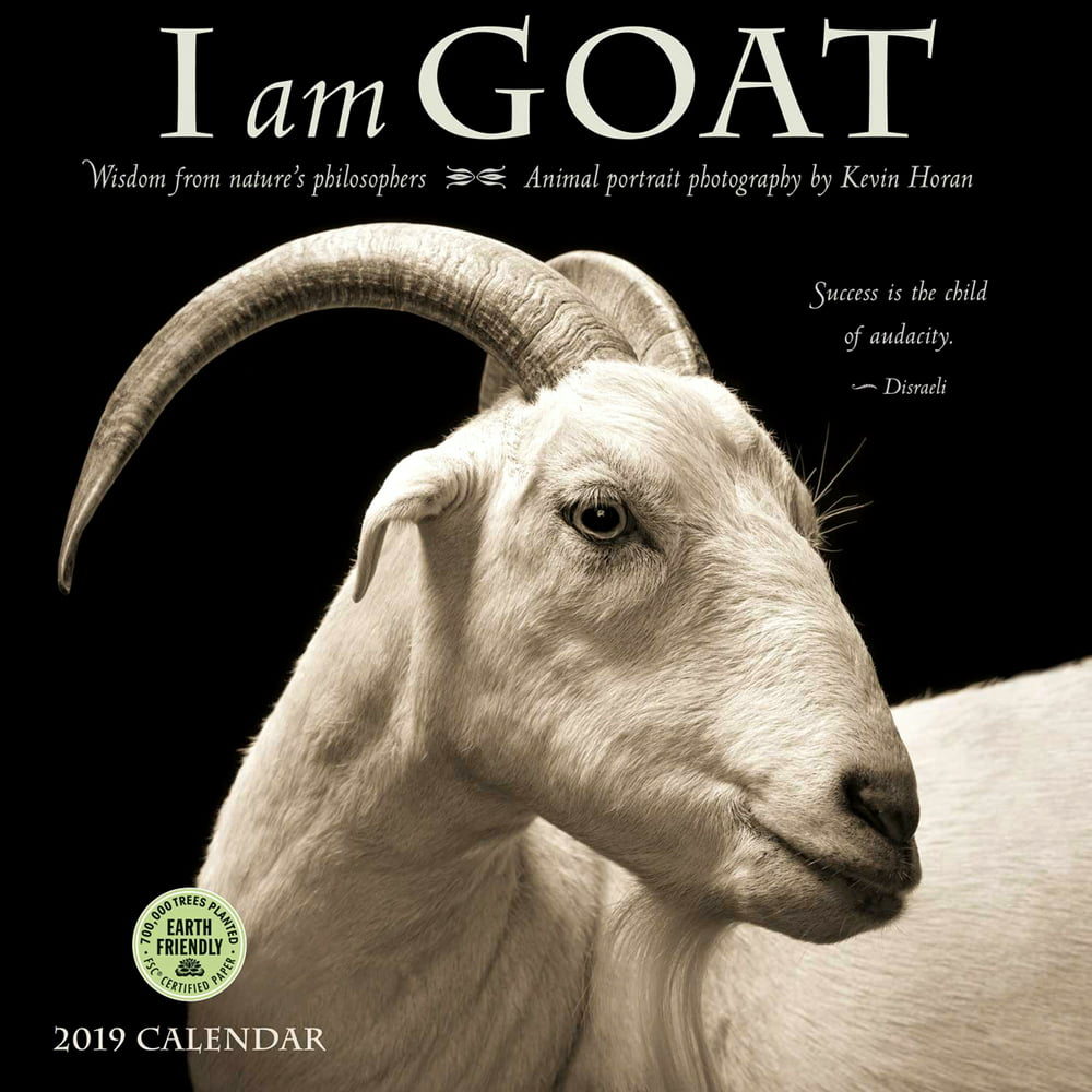 i-am-goat-2019-wall-calendar-wisdom-from-nature-s-philosophers-other-walmart-walmart
