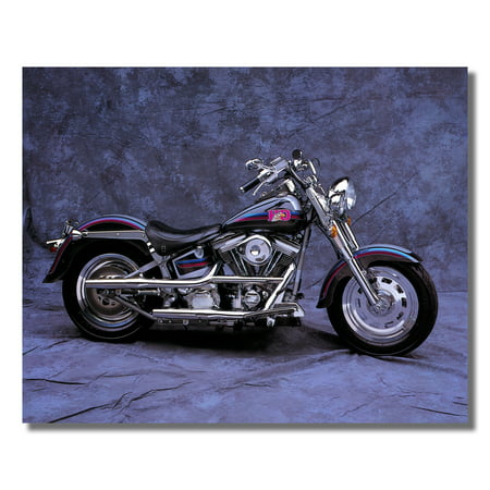 Harley Davidson Customized Fatboy Motorcycle Photo Wall Picture 8x10 Art (Liberty Fatboy Best Price)