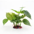 thumbnail image 1 of Planta decorativa de hoja de loto de pecera de plástico verde acuático artificial, altura media 21,5 cm ER, 1 of 5
