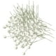 thumbnail image 5 of 3x 100 Piezas de Bayas Artificiales, , Estambres de , Decoración para El , , Escritorio, Manualida 3 piezas, 5 of 8