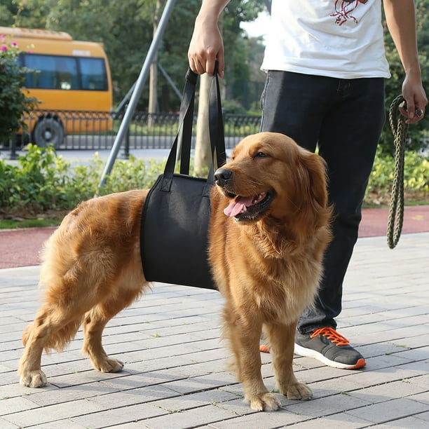 Elevador Para Perros Negro, Arnés de Rehabilitación Con Pata delantera para Perros y Asa de apoyo para Ayuda Canina XL