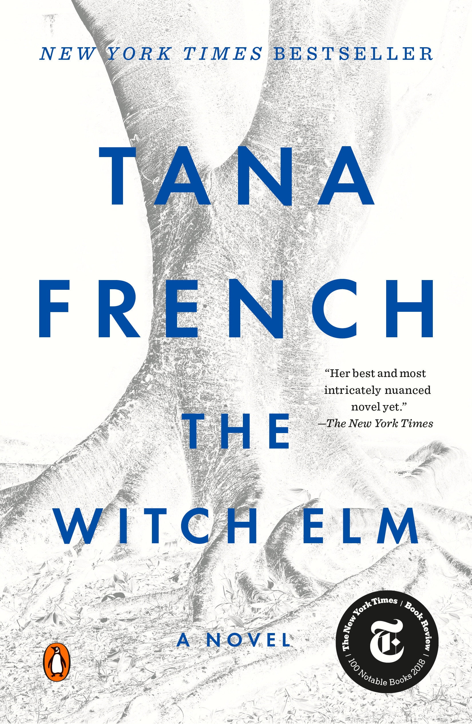 the witch elm synopsis the witch elm synopsis