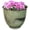 Evergreen, variant on Headwind Glazed Ironstone Hamilton Collection Decorative Plant Pot – 6" Sandstone Beige Pot – Lightweight & Durable with Drainage Flower Pots for Indoor Plants & Outdoor Planter Use by Robert Allen