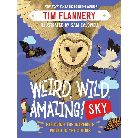 Weird, Wild, Amazing! Sky: Exploring the Incredible World in the Clouds, (Paperback)
