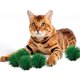 thumbnail image 4 of 30 Uds. Pelota de juguete para gatos, pelota de Color para gatos, pelota de juguete para gatos, pelota de juguete interactiva, 4 of 5