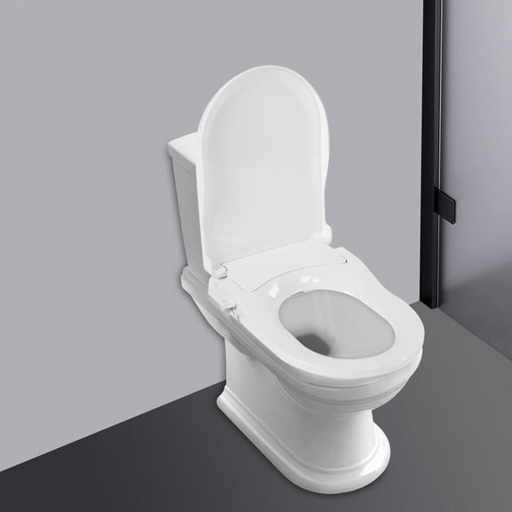 Multifunctional Non-Electric Bidet Toilet Seat Dual Nozzle System Toilet Seat D-type White with Filter Screen