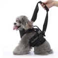 thumbnail image 2 of BeesClover Adjustable Dog Carry Sling, Portable Pet Support Rehabilitation Harness, Dog Lift Straps Backpack, Pet Carrier For Senior Dogs Joint Injuries Arthritis, 2 of 8