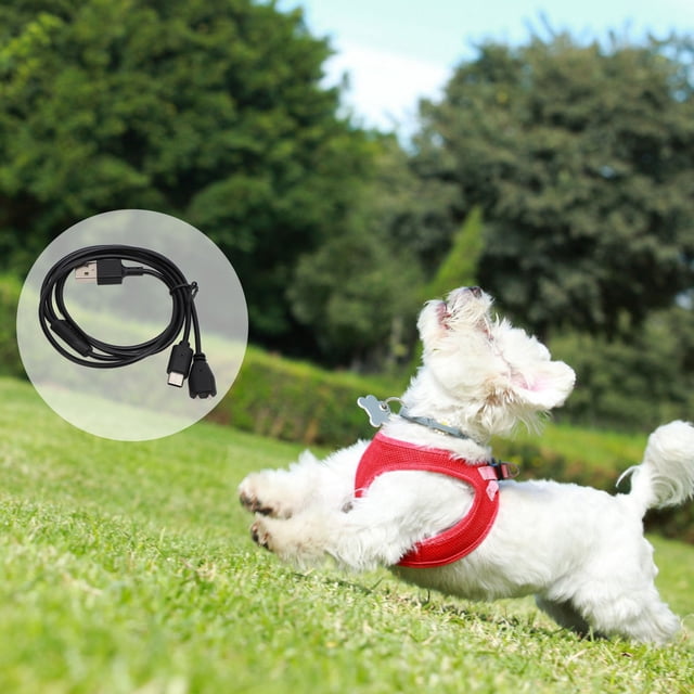 Câble de Charge Magnétique, 2 en 1 Portable Performance Stable Sécurité Efficace Collier d'Entraînement pour Chien