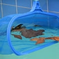 thumbnail image 4 of Swimming Pool Slip Net Thick Deep Pocket Swimming Pool Slip Net Durable Nylon Micro Mesh And Carefully Crafted Frame A A, 4 of 7