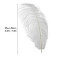 thumbnail image 3 of EIMELI 10pcs White Natural Ostrich Feathers for Party  Wedding  Masquerade and Home Decorations  Crafts, 3 of 10
