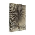 thumbnail image 4 of Pictufy Studio III 'Palmblad 1' Canvas Art - 16 x 24 Inches, 4 of 4