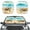 Cute Turtle, variant on Jeiento Purple Coconut Tree Car Sunshade for Women Foldable Automotive Front Window Sunshade Protector Removable Automotive Accessories Fit Most Car, Truck, Suv, or Van