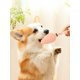 thumbnail image 5 of 1pc Dog Toy Pine Cone Shape Squeaky Grinding Teeth Solid Rubber Ball For Pet Training And Playing, Suitable For Golden Retrievers And Teddy Dogs, 5 of 5