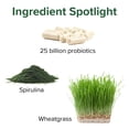 thumbnail image 5 of Vibrant Health, Green Vibrance, Vegan Superfood Powder, 30 Servings, 5 of 9