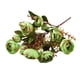 thumbnail image 1 of Arreglo floral de seda con camelia artificial verde Pamolo para decoración del hogar y bodas, 1 of 2