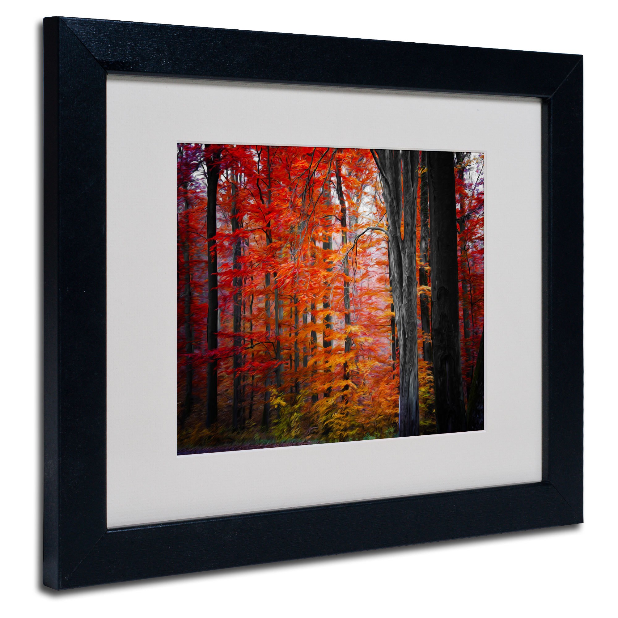 Trademark Fine Art "No Title" Canvas Art by Philippe Sainte-Laudy, Wood Frame