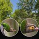 thumbnail image 2 of Monocular 12 x 50 para adultos, de alta definición y gran campo de visión, ideal para observación de aves, animales, deportes al aire libre, juegos, conciertos y telescopio móvil., 2 of 9