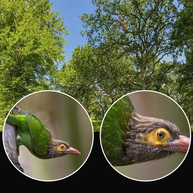 12 X 50 Monocular For Adults High Definition Large Field Of View Monocular For Bird Watching Animals Viewing Outdoor Sports Game Concerts