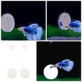 thumbnail image 4 of 2 Sets Fish Training Mirror Betta Fish Mirror Fish Tank Mirror Aquarium Accessory, 4 of 4