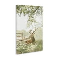 thumbnail image 3 of Stupell Industries White Tailed Deer Portrait Canvas Wall Art design by Leah Straatsma, 45 x 30, 3 of 7