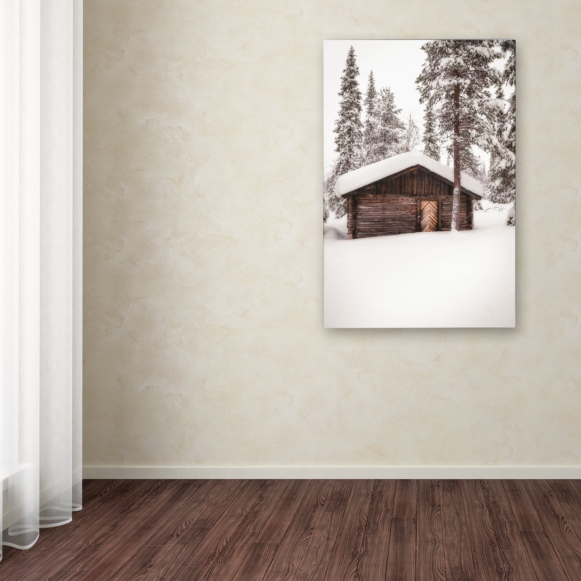 Trademark Fine Art 'Snow of Finland' Canvas Art by Philippe Sainte-Laudy