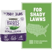 Pennington Smart Seed, Dense Shade Grass Mix, for Partial to Full Shade yard, Fescue Grass Seed for Lawn, 3.0 lb New Bag