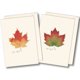 thumbnail image 1 of Juego de tarjetas de notas Earth Sky + Water 9x13 cm (8 unidades), 1 of 4