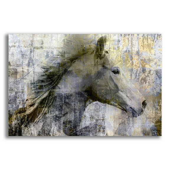 Epic Art 'Vintage Horse,' Acrylic Glass Wall Art, 16"x12"