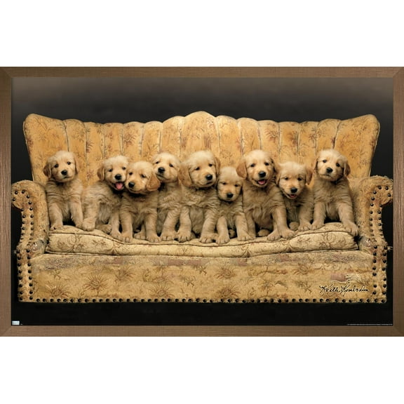 Keith Kimberlin - Puppies - Couch Wall Poster, 14.725" x 22.375" Framed