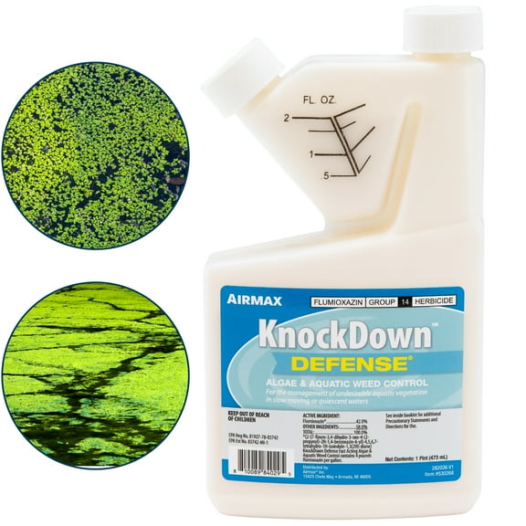 Airmax KnockDown Defense 2-in-1 Liquid Herbicide   Algicide Treatment for Ponds & Lakes, 16 fl oz 