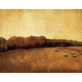 thumbnail image 2 of Venter, Tandi 24x20 Gold Ornate Wood Framed with Double Matting Museum Art Print Titled - Open Range II, 2 of 4