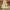 Yellow, variant on Breathable Hanging Mosquito Net Top Hook Lace Bed Canopy Encrypted Mesh Round Dome Court Style Crib Canopy Bedroom Decoration